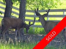 by Priddis  Land for sale:    (Listed 2011-06-13)