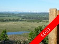 Priddis Add New Value ..RANCH. for sale:  4 bedroom 3,598 sq.ft. (Listed 2013-06-06)